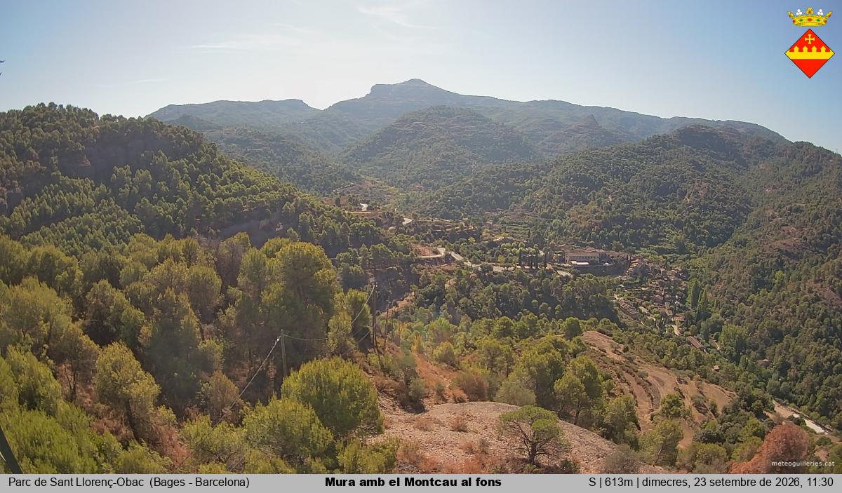 Mura amb el Montcau al fons