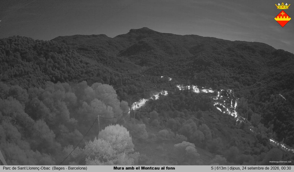 Mura amb el Montcau al fons