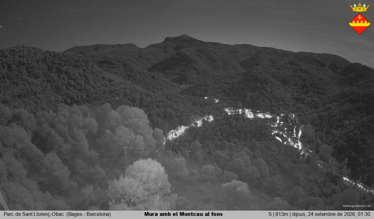 Mura amb el Montcau al fons