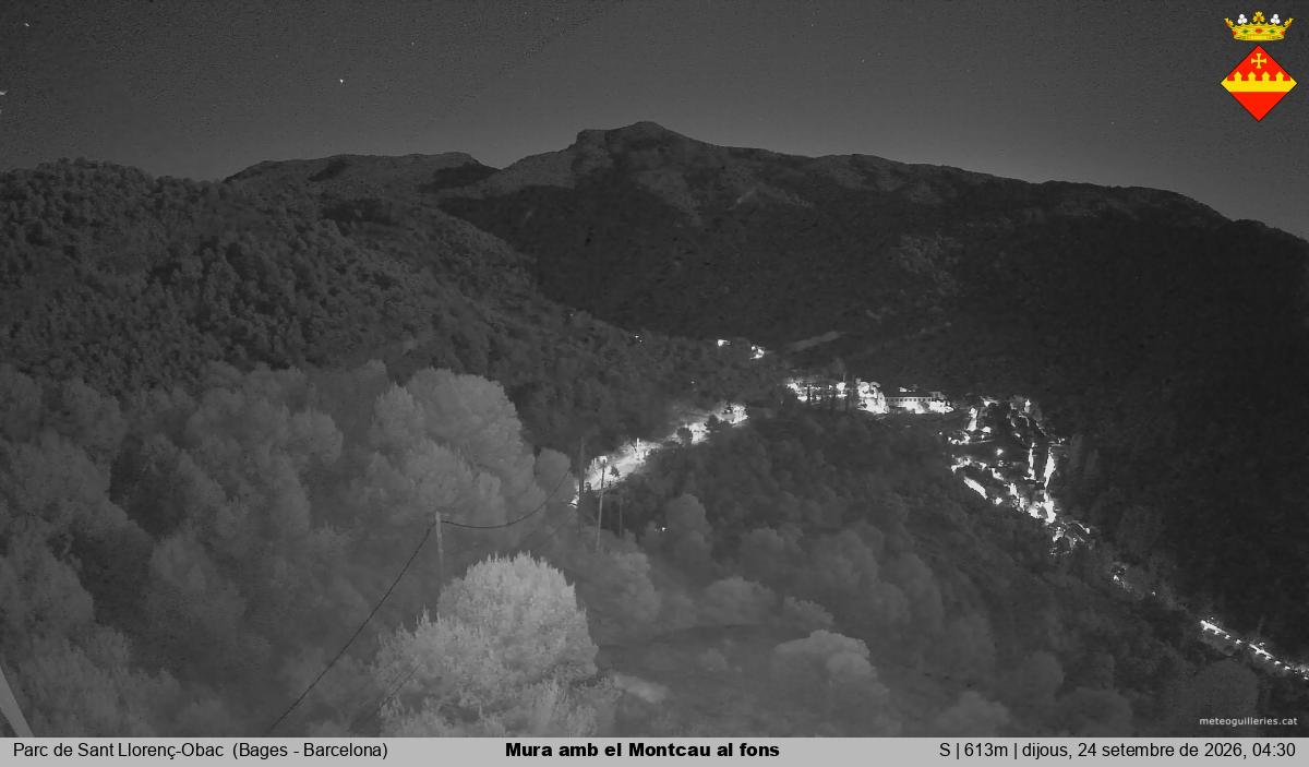 Mura amb el Montcau al fons