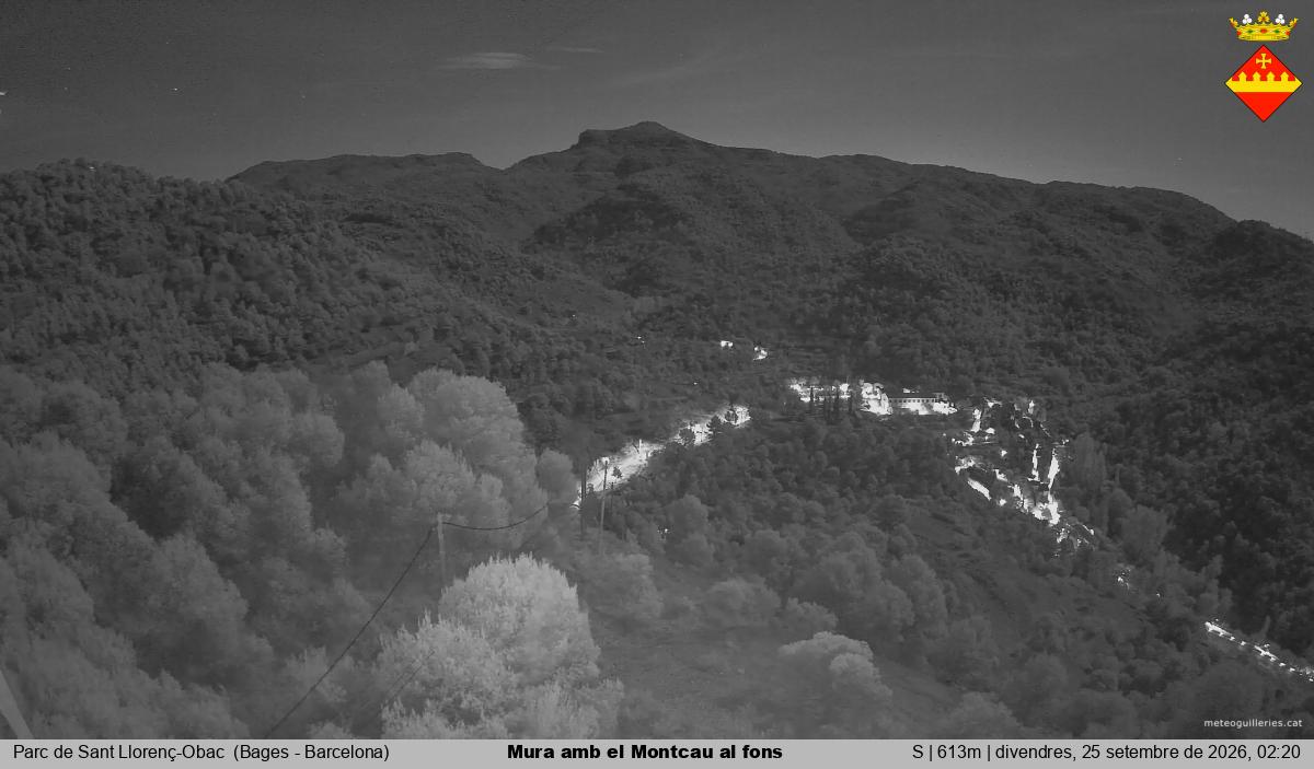 Mura amb el Montcau al fons