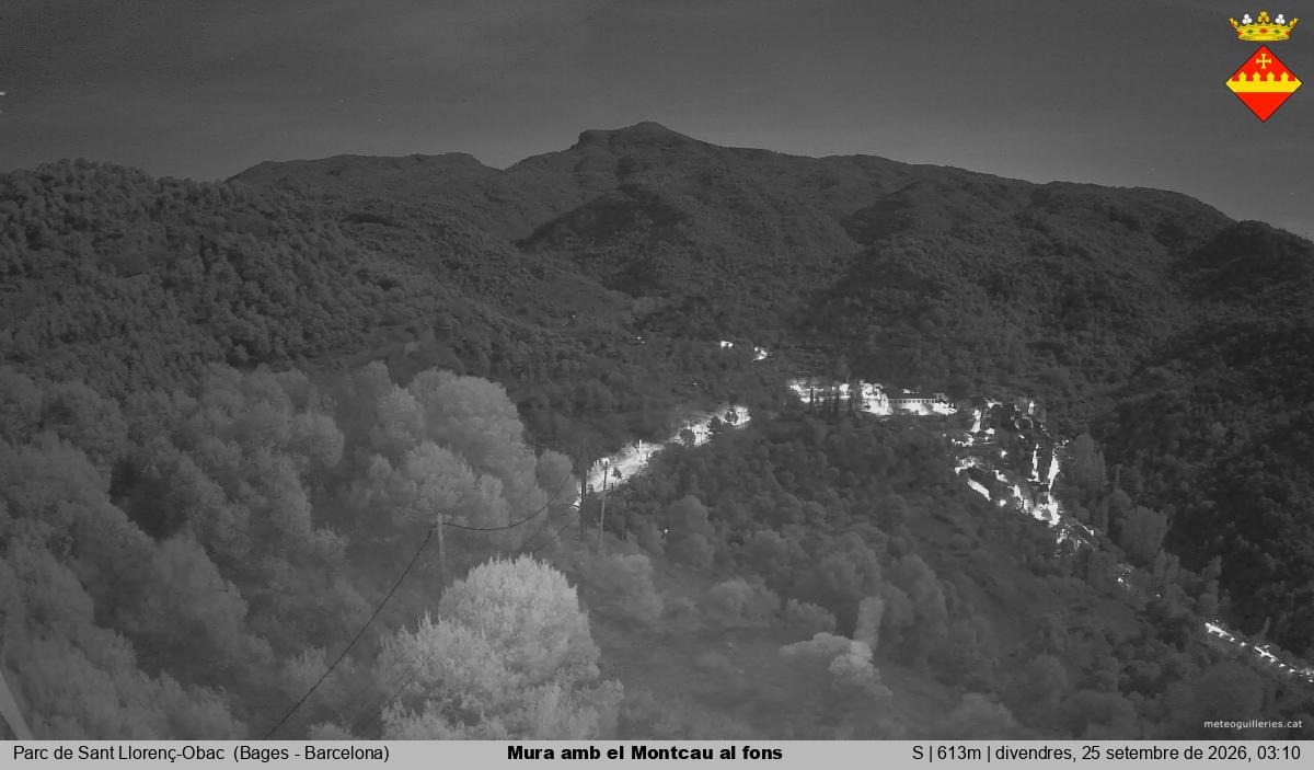 Mura amb el Montcau al fons