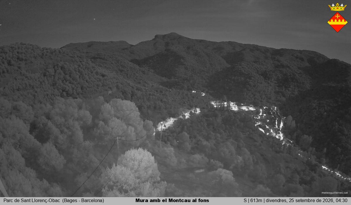 Mura amb el Montcau al fons