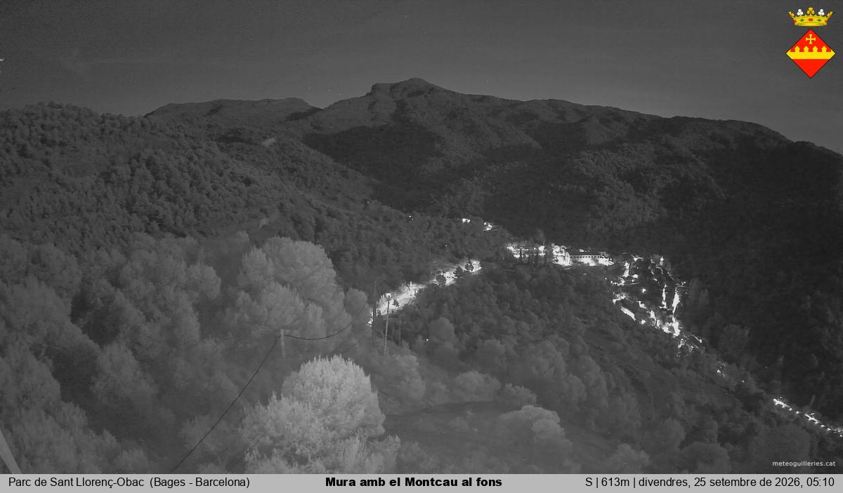 Mura amb el Montcau al fons
