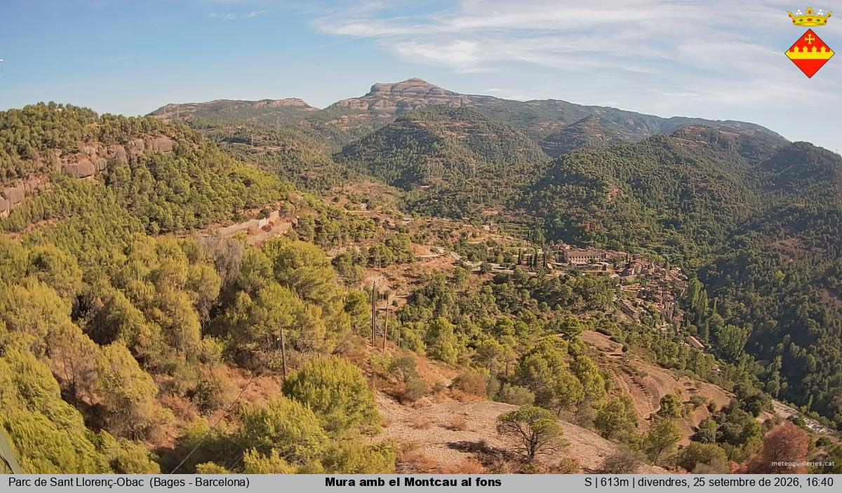Mura amb el Montcau al fons