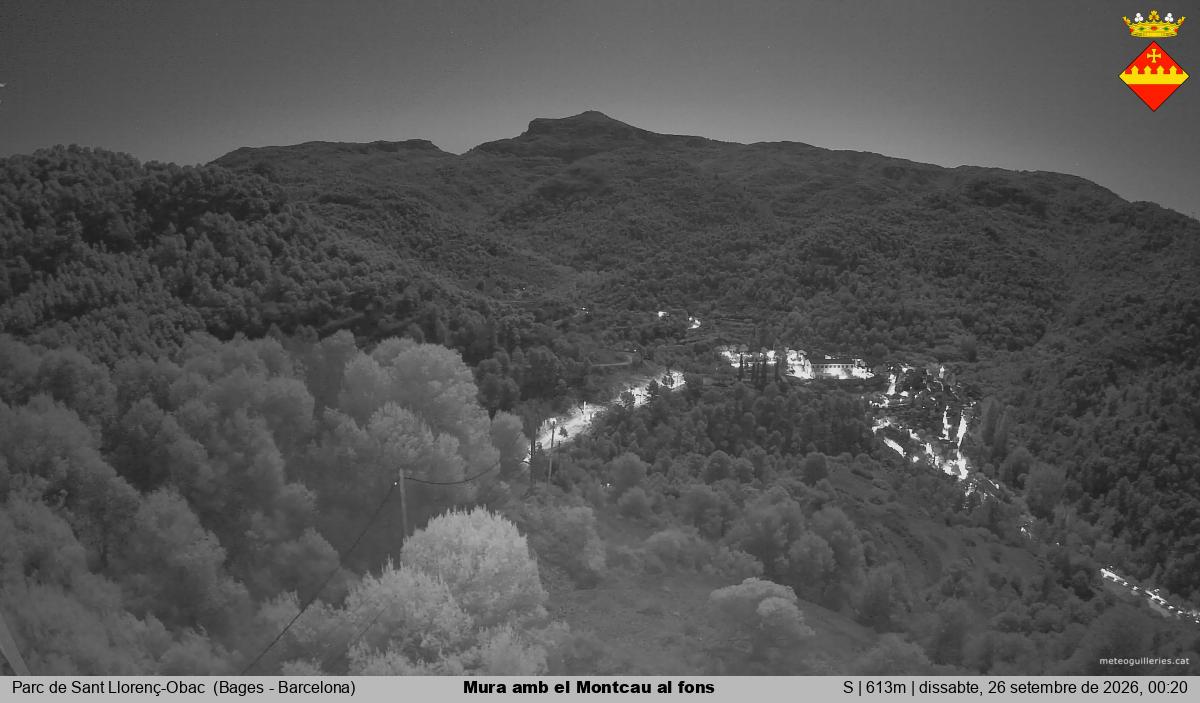 Mura amb el Montcau al fons