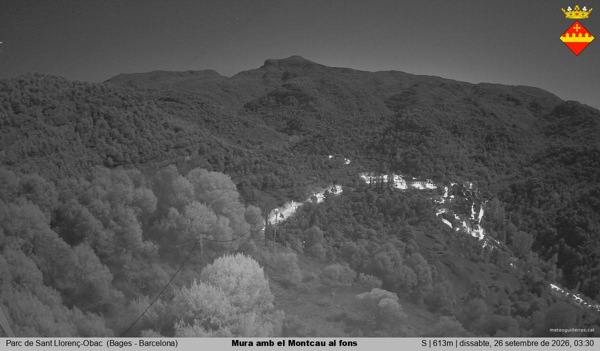 Mura amb el Montcau al fons