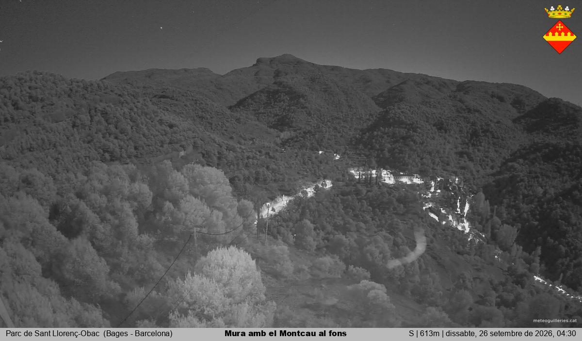 Mura amb el Montcau al fons
