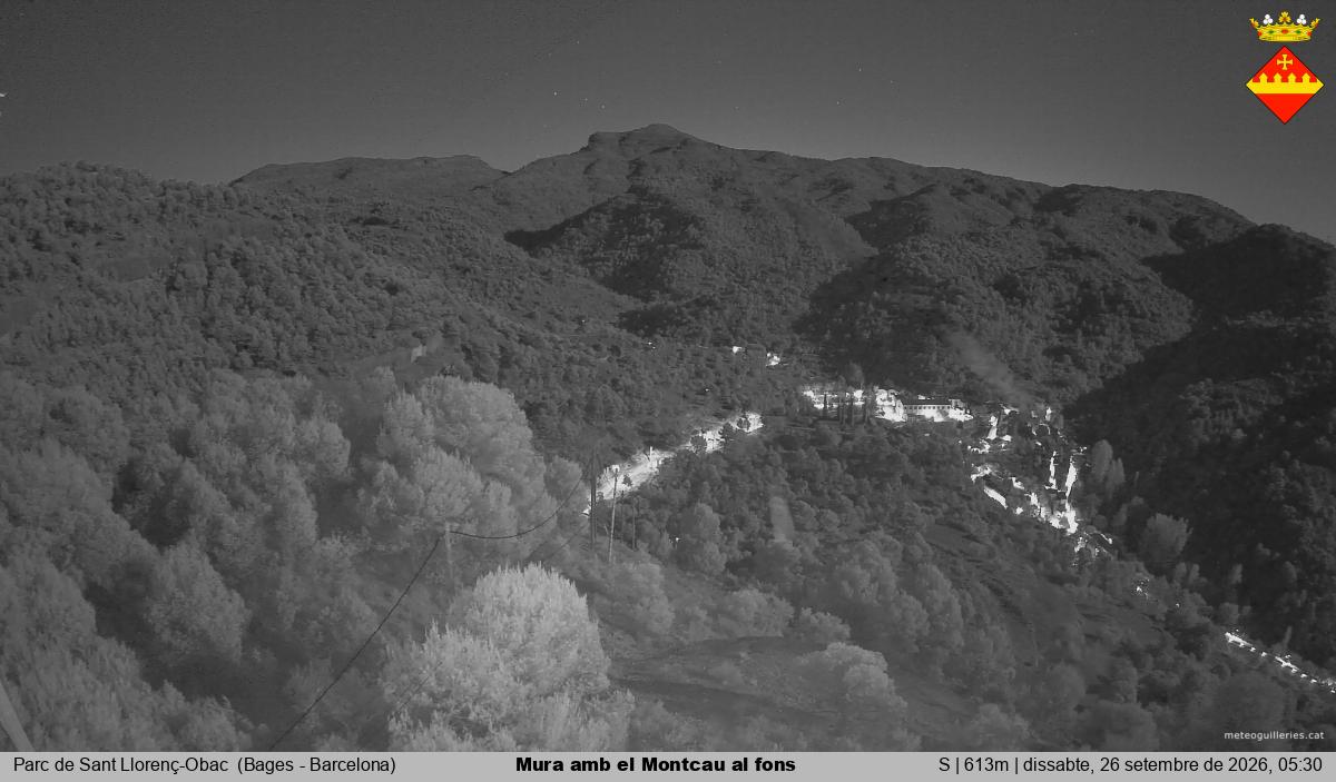 Mura amb el Montcau al fons