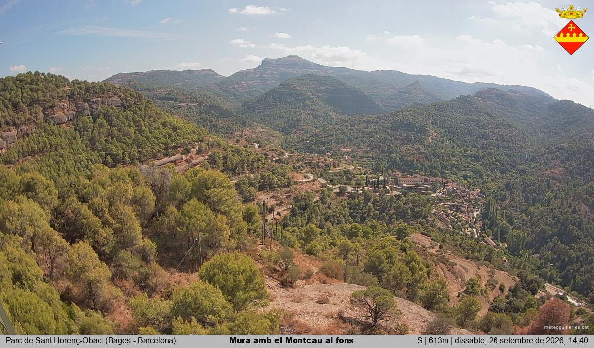 Mura amb el Montcau al fons