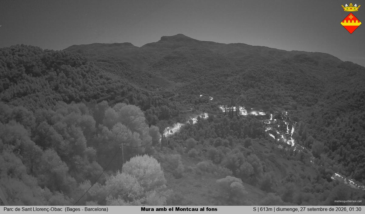 Mura amb el Montcau al fons