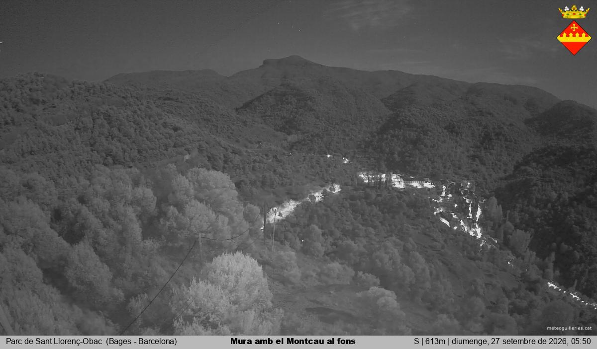Mura amb el Montcau al fons