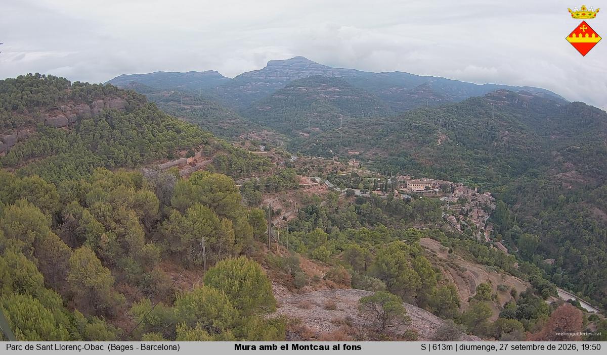 Mura amb el Montcau al fons