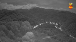 Webcams