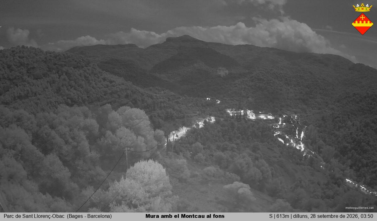 Mura amb el Montcau al fons
