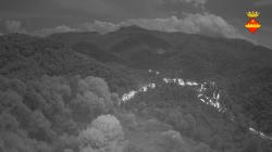 Webcams