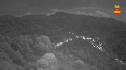 Webcams