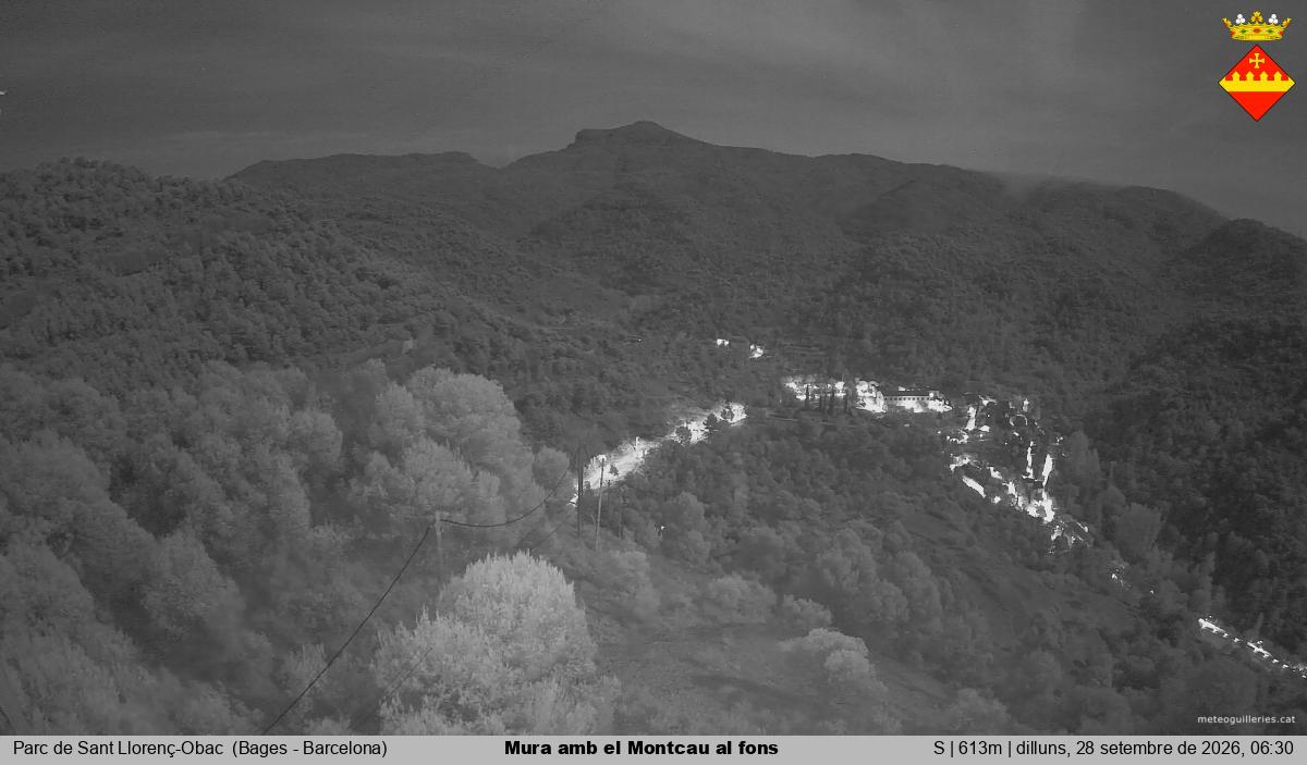 Mura amb el Montcau al fons