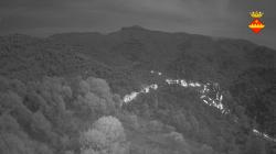 Webcams