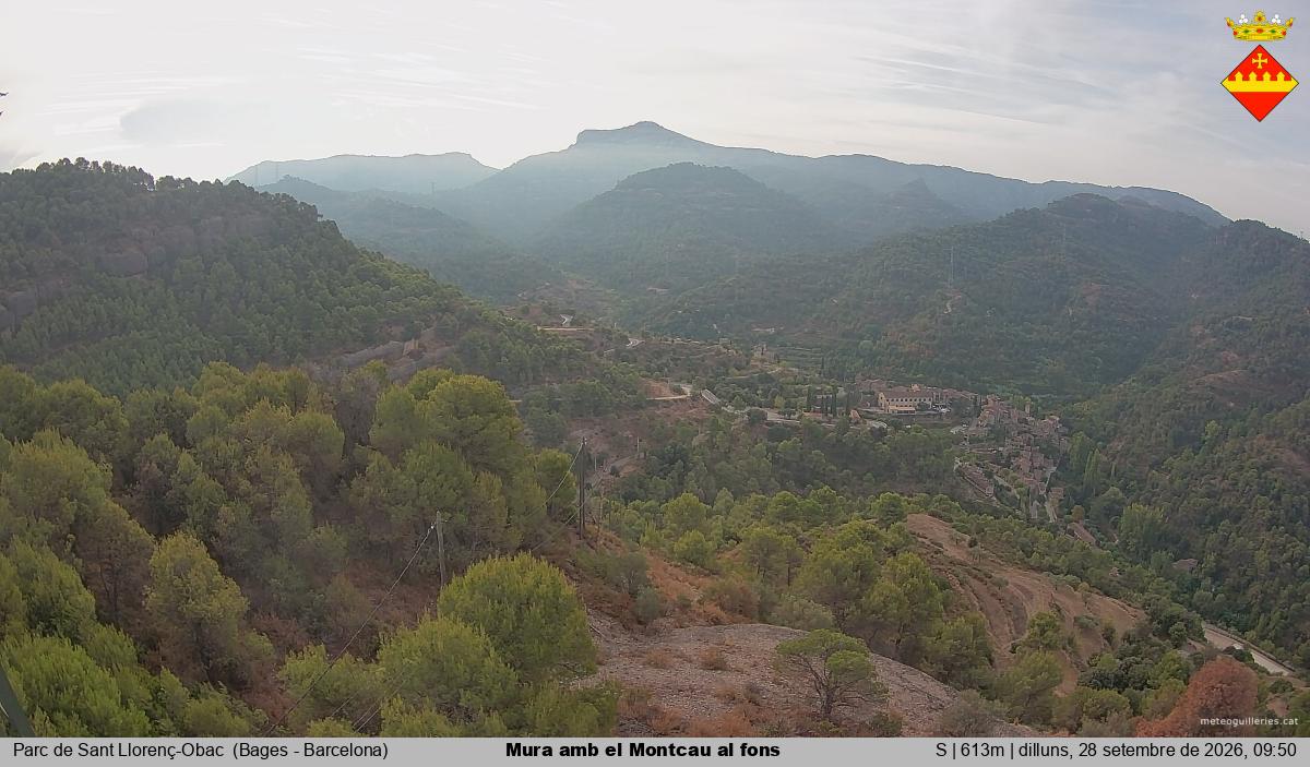 Mura amb el Montcau al fons