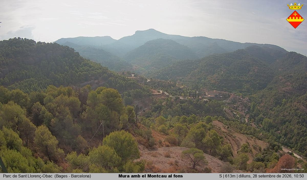 Mura amb el Montcau al fons
