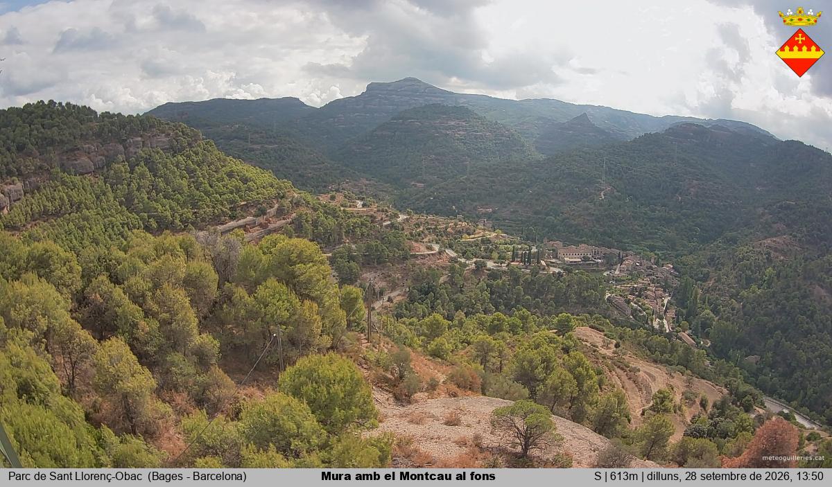 Mura amb el Montcau al fons