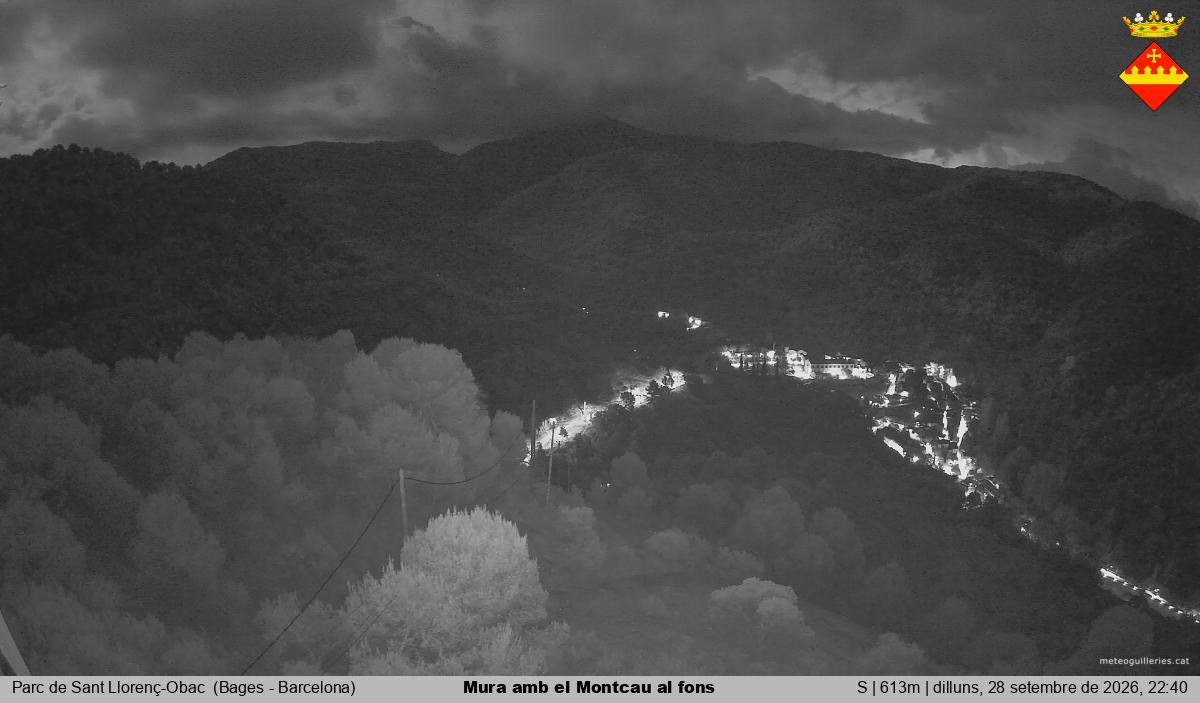 Mura amb el Montcau al fons