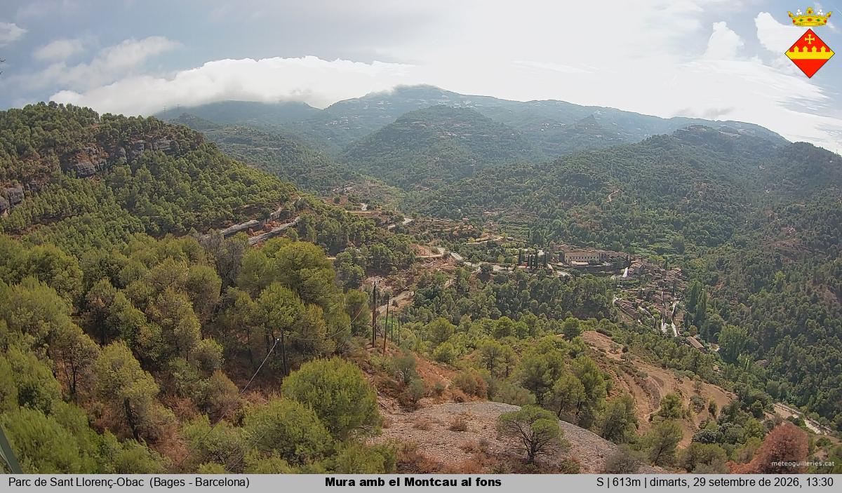 Mura amb el Montcau al fons