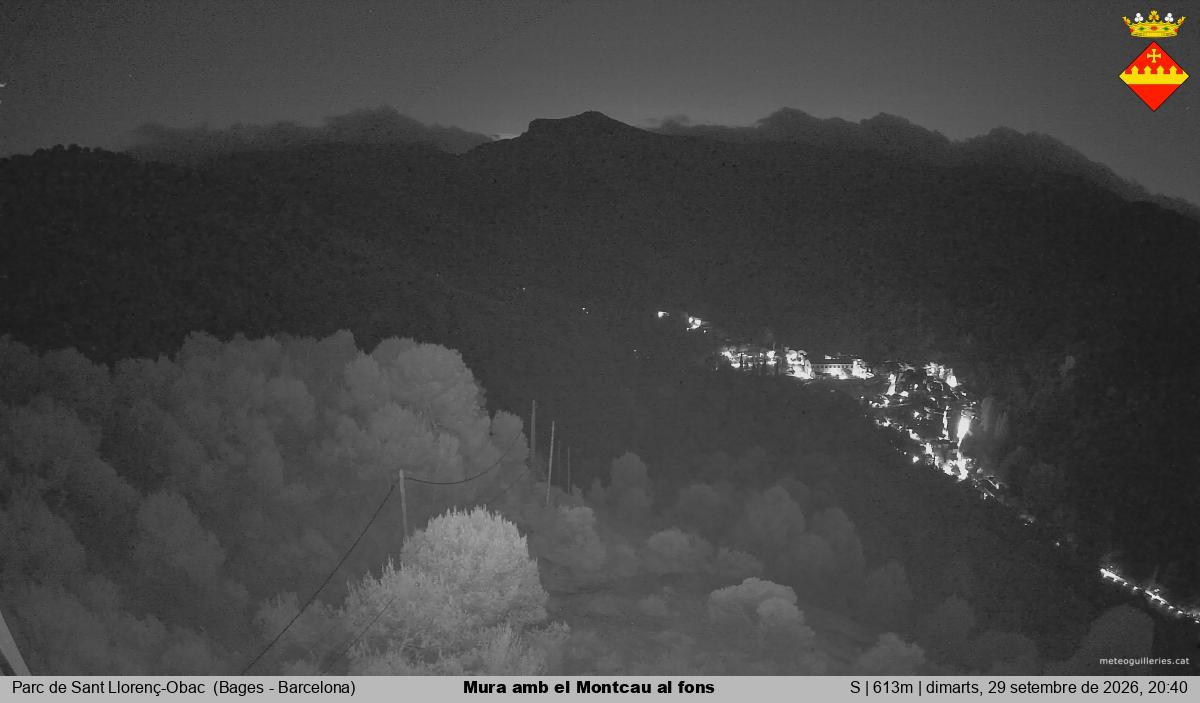 Mura amb el Montcau al fons