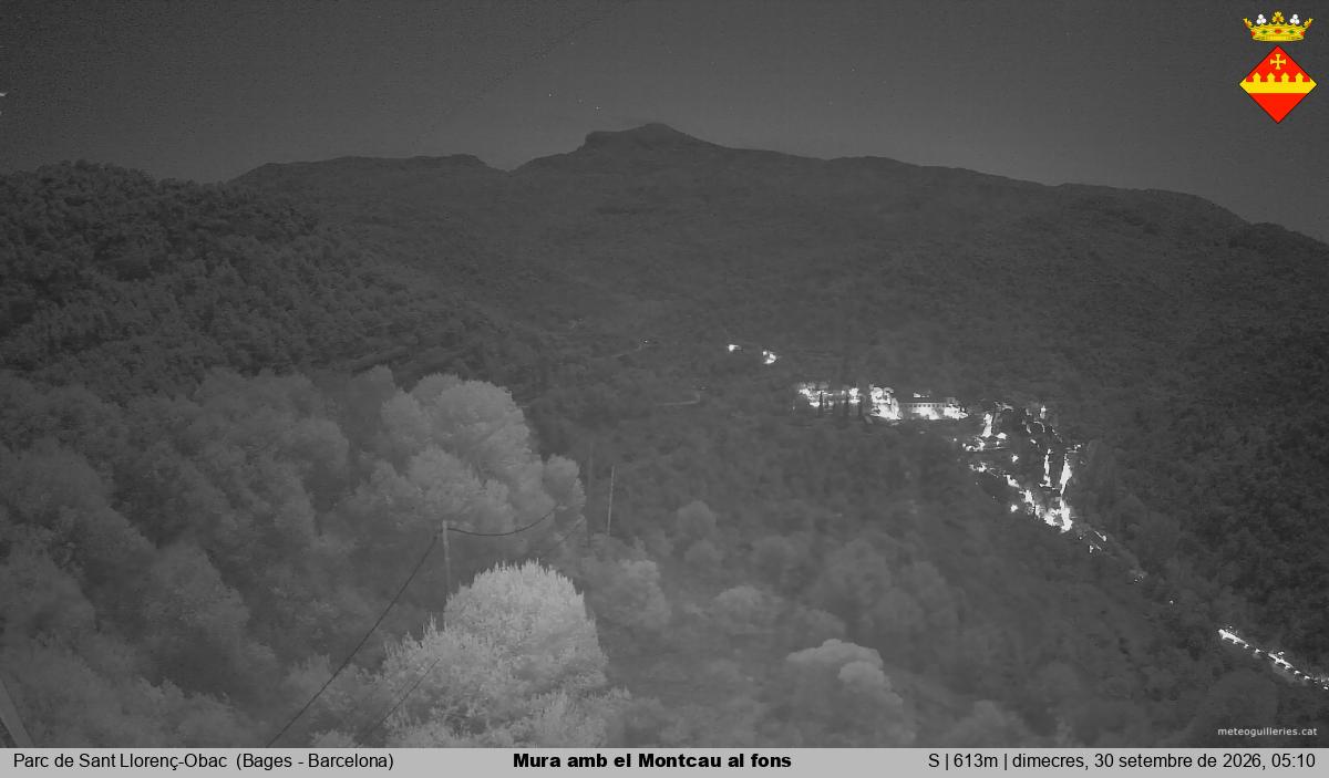 Mura amb el Montcau al fons
