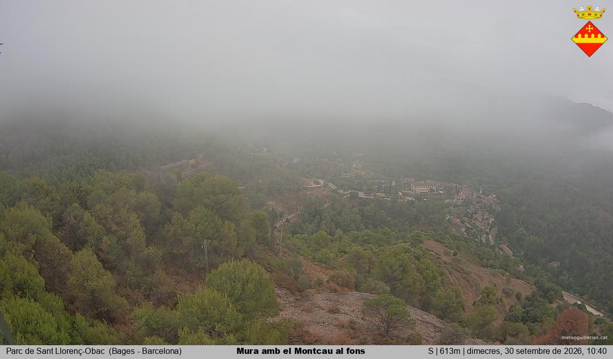 Mura amb el Montcau al fons