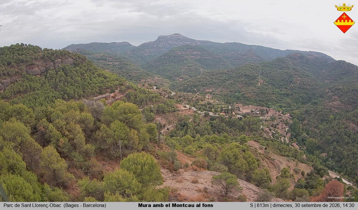 Mura amb el Montcau al fons