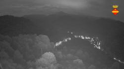 Webcams