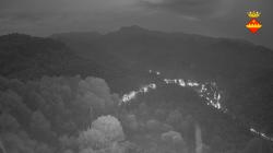 Webcams