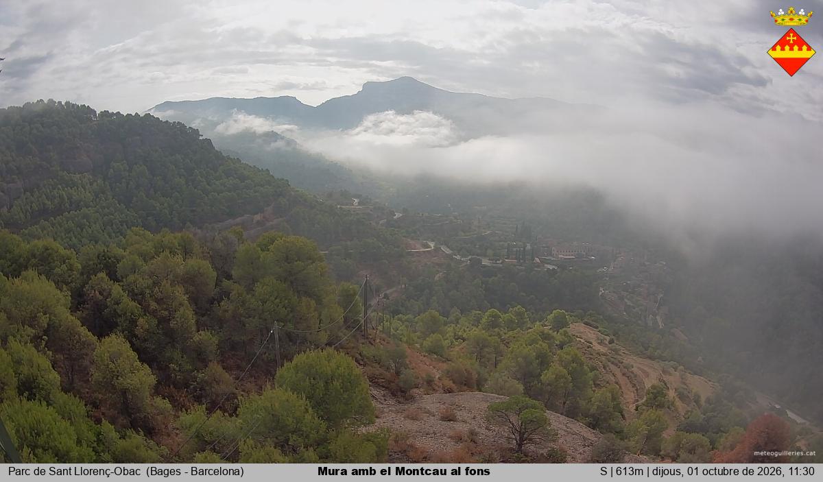 Mura amb el Montcau al fons