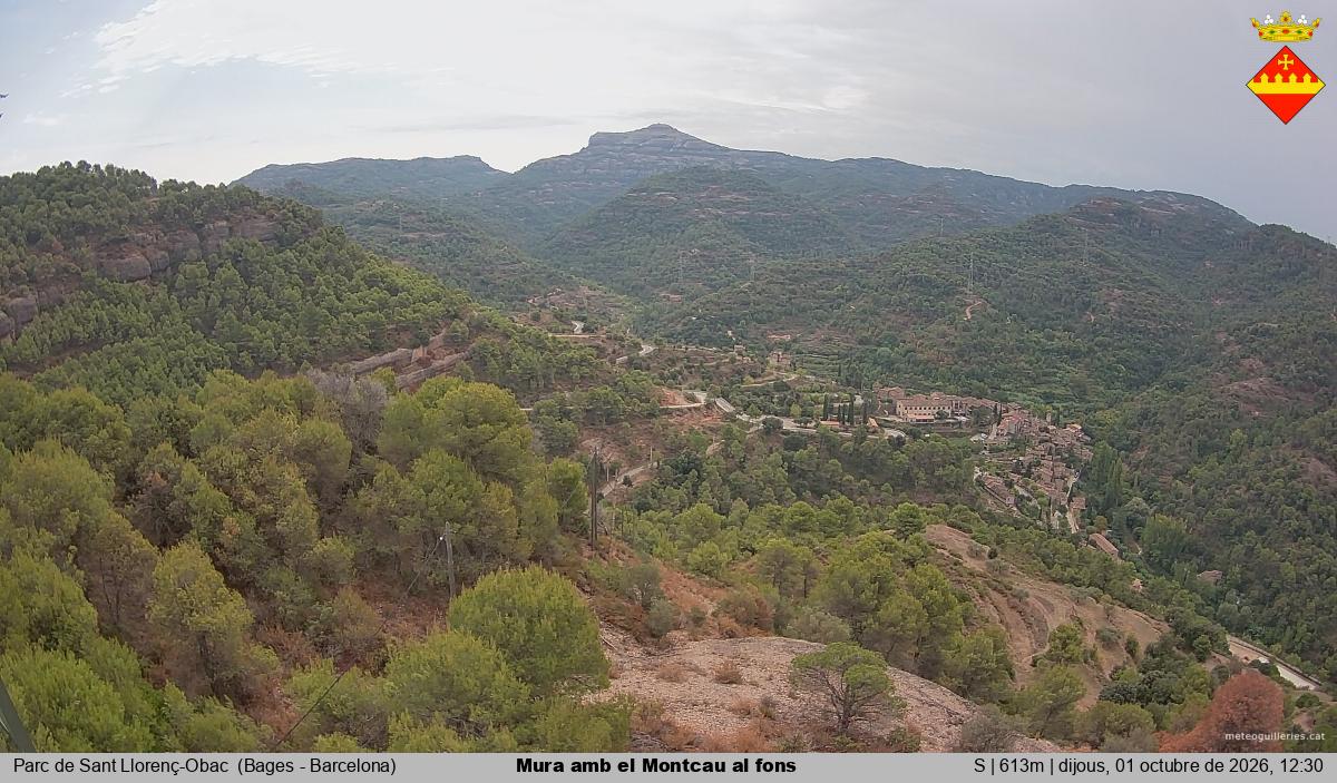 Mura amb el Montcau al fons