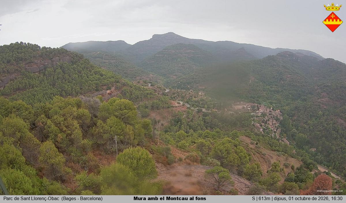 Mura amb el Montcau al fons