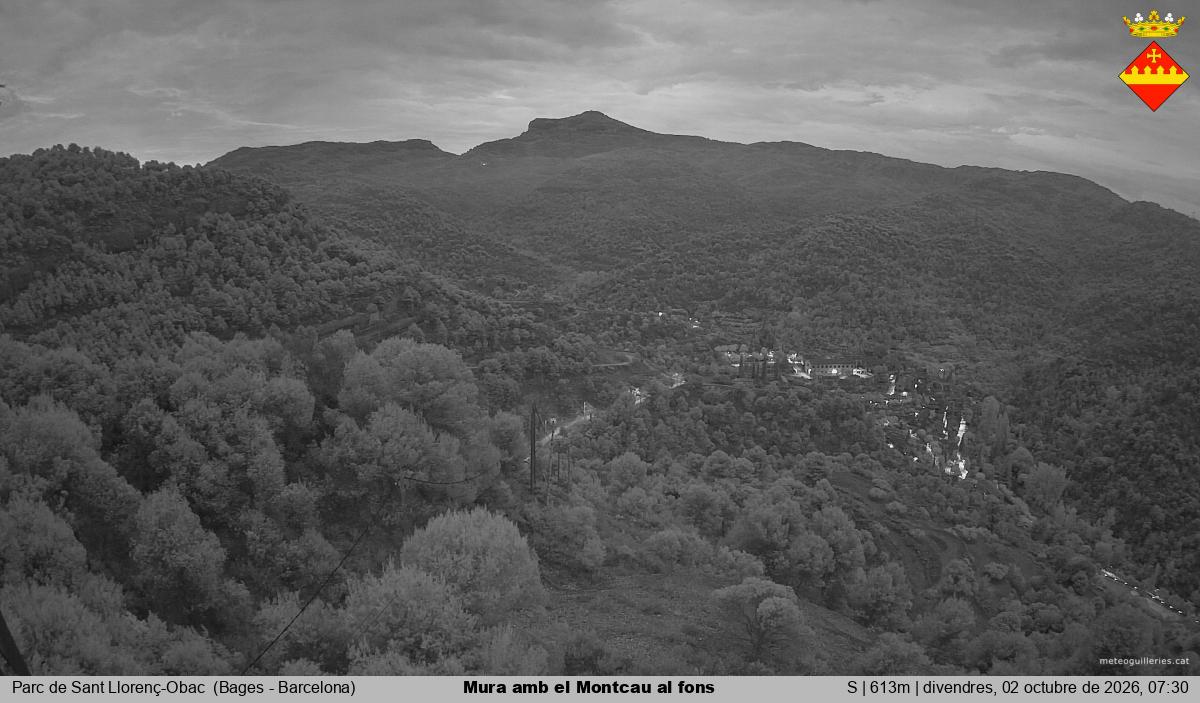 Mura amb el Montcau al fons