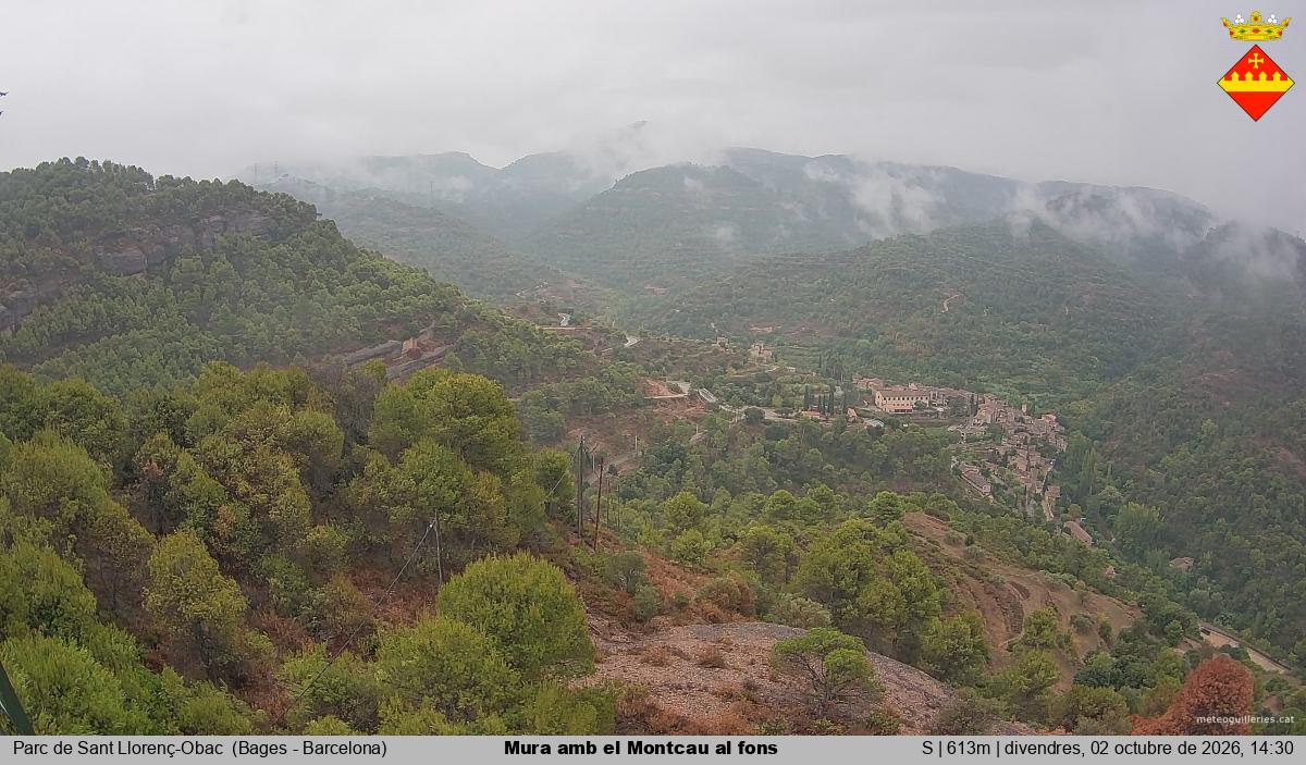 Mura amb el Montcau al fons