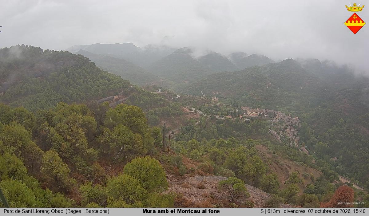 Mura amb el Montcau al fons