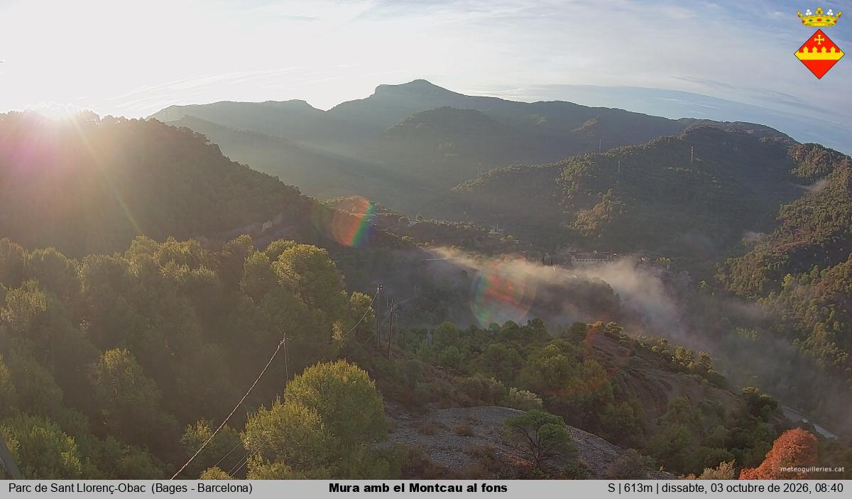 Mura amb el Montcau al fons
