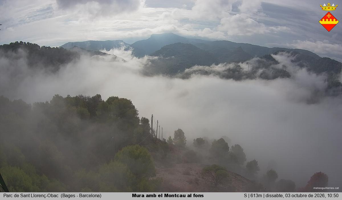 Mura amb el Montcau al fons