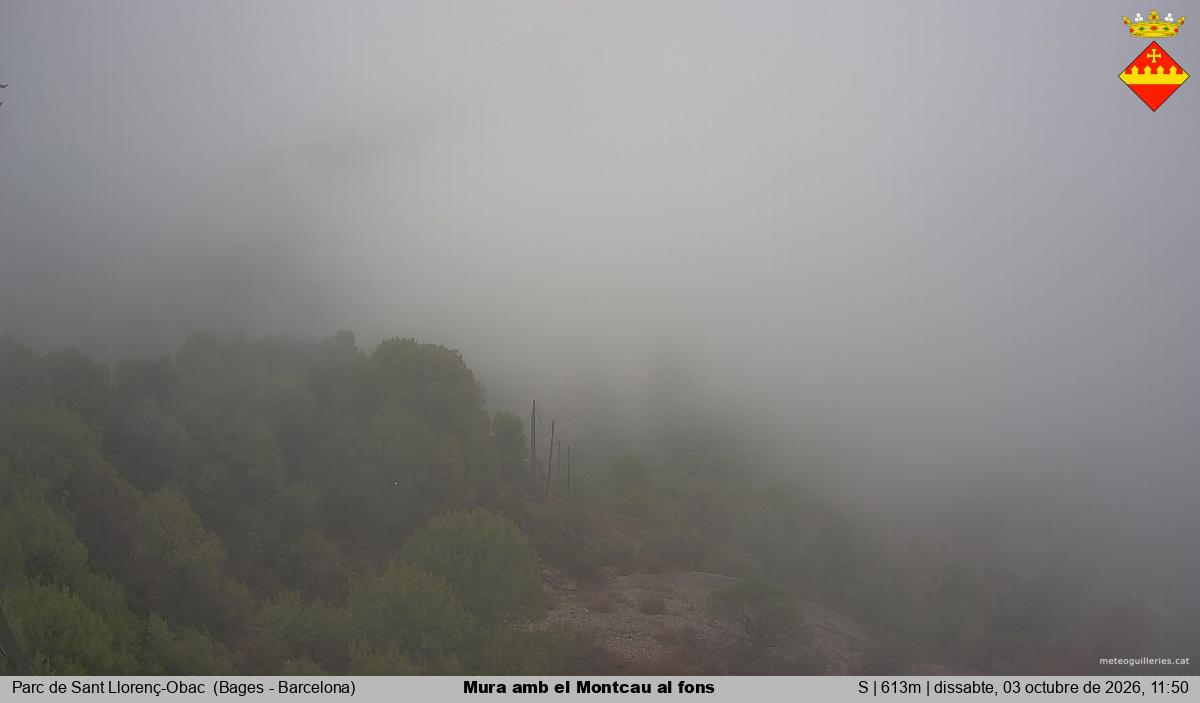 Mura amb el Montcau al fons