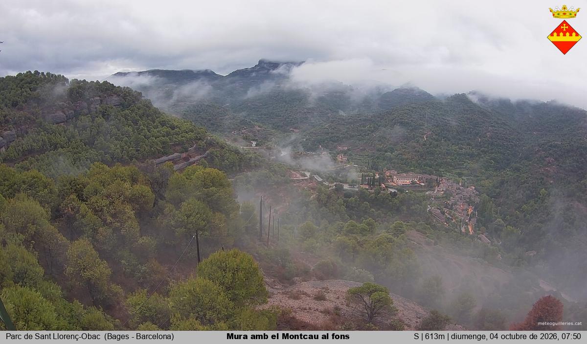 Mura amb el Montcau al fons