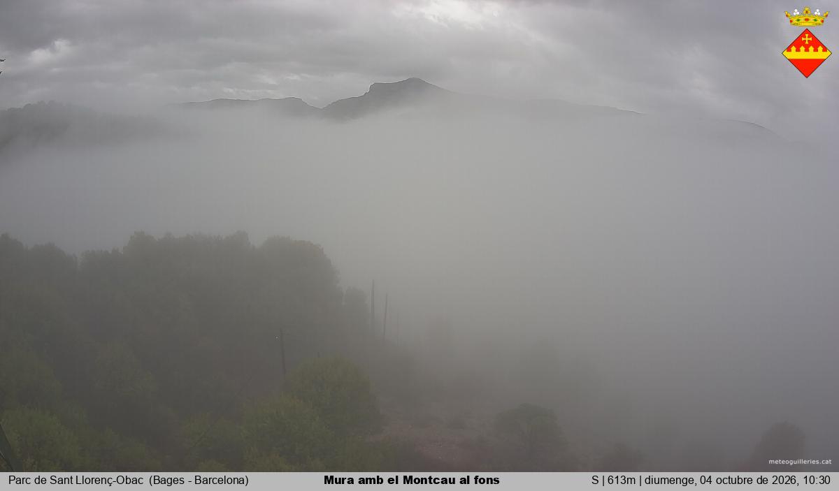 Mura amb el Montcau al fons