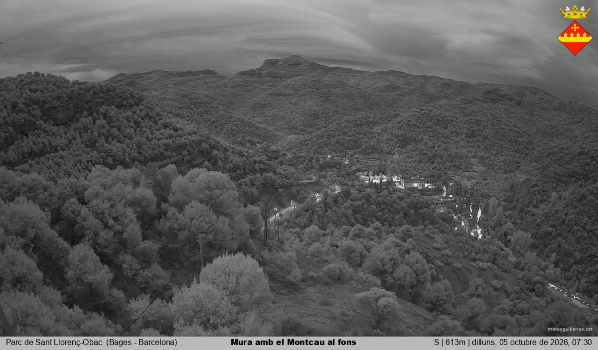 Mura amb el Montcau al fons