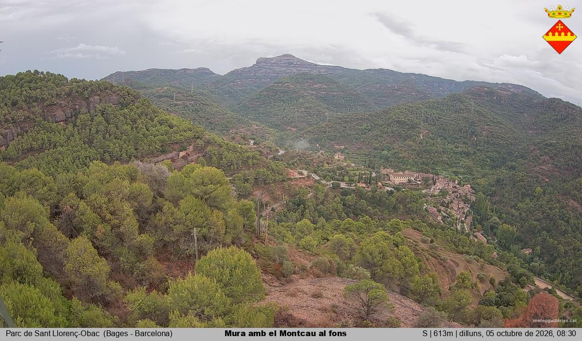 Mura amb el Montcau al fons