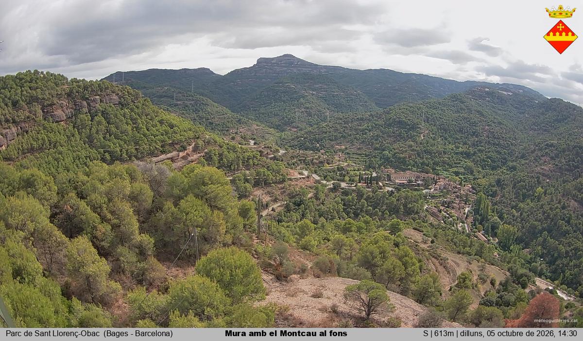 Mura amb el Montcau al fons