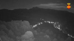 Webcams