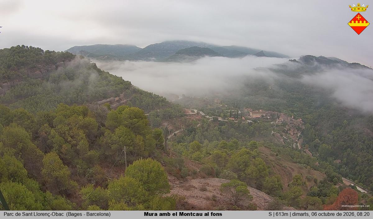 Mura amb el Montcau al fons